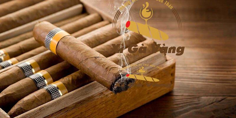 Cách bảo quản thuốc xì gà ở nhiệt độ bao nhiêu là tốt nhất?